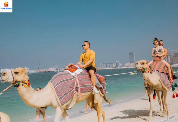 tour-du-lich-binh-thuan-dubai