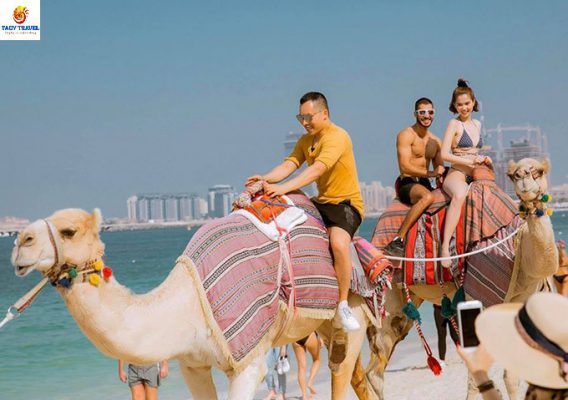 tour-du-lich-dak-nong-dubai