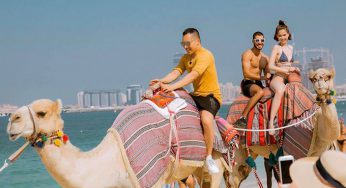 Tour du lịch Thanh Hóa Dubai